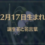2月17日の誕生花と花言葉がコレ！性格や恋愛・仕事などの誕生日占いもご紹介！