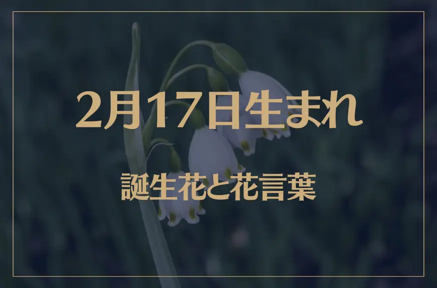 2月17日の誕生花と花言葉がコレ！性格や恋愛・仕事などの誕生日占いもご紹介！