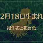 2月18日の誕生花と花言葉がコレ！性格や恋愛・仕事などの誕生日占いもご紹介！