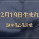 2月19日の誕生花と花言葉がコレ！性格や恋愛・仕事などの誕生日占いもご紹介！