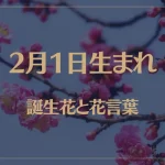 2月1日の誕生花と花言葉がコレ！性格や恋愛・仕事などの誕生日占いもご紹介！