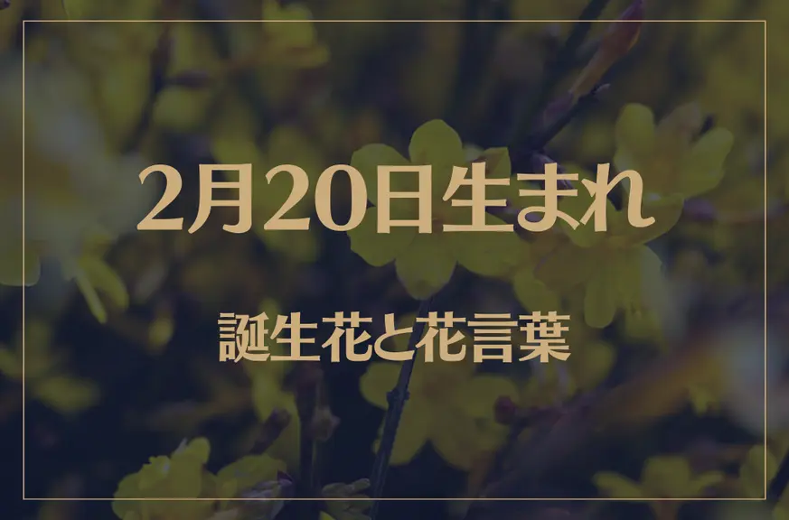 2月20日の誕生花と花言葉がコレ！性格や恋愛・仕事などの誕生日占いもご紹介！