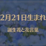 2月21日の誕生花と花言葉がコレ！性格や恋愛・仕事などの誕生日占いもご紹介！