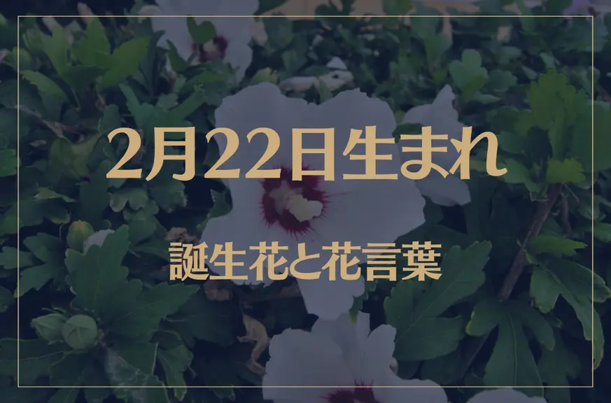 2月22日の誕生花と花言葉がコレ！性格や恋愛・仕事などの誕生日占いもご紹介！