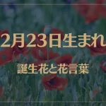 2月23日の誕生花と花言葉がコレ！性格や恋愛・仕事などの誕生日占いもご紹介！