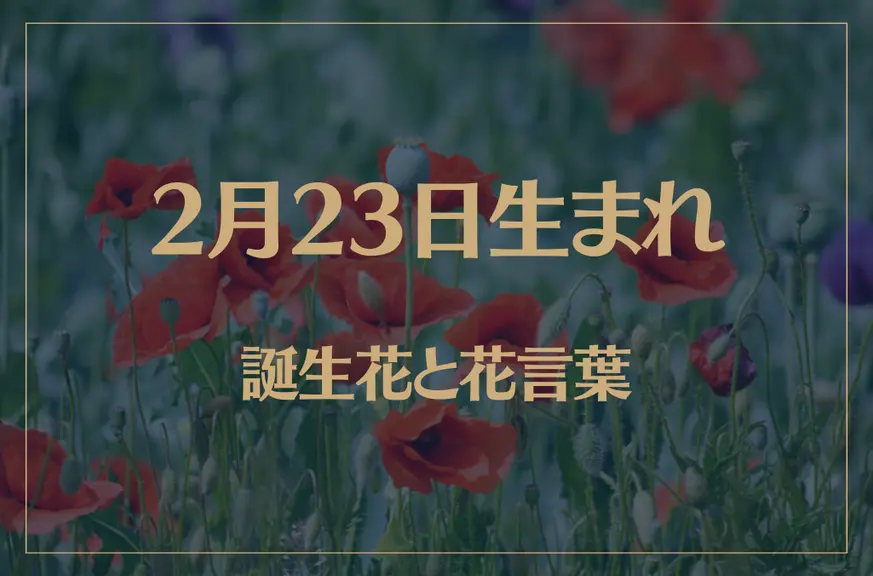 2月23日の誕生花と花言葉がコレ！性格や恋愛・仕事などの誕生日占いもご紹介！