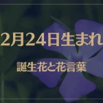 2月24日の誕生花と花言葉がコレ！性格や恋愛・仕事などの誕生日占いもご紹介！