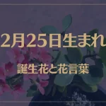 2月25日の誕生花と花言葉がコレ！性格や恋愛・仕事などの誕生日占いもご紹介！