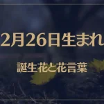 2月26日の誕生花と花言葉がコレ！性格や恋愛・仕事などの誕生日占いもご紹介！
