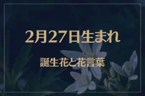 2月27日の誕生花と花言葉がコレ!性格や恋愛・仕事などの誕生日占いもご紹介!