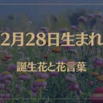 2月28日の誕生花と花言葉がコレ！性格や恋愛・仕事などの誕生日占いもご紹介！