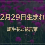 2月29日の誕生花と花言葉がコレ！性格や恋愛・仕事などの誕生日占いもご紹介！