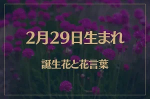 2月29日の誕生花と花言葉がコレ!性格や恋愛・仕事などの誕生日占いもご紹介!