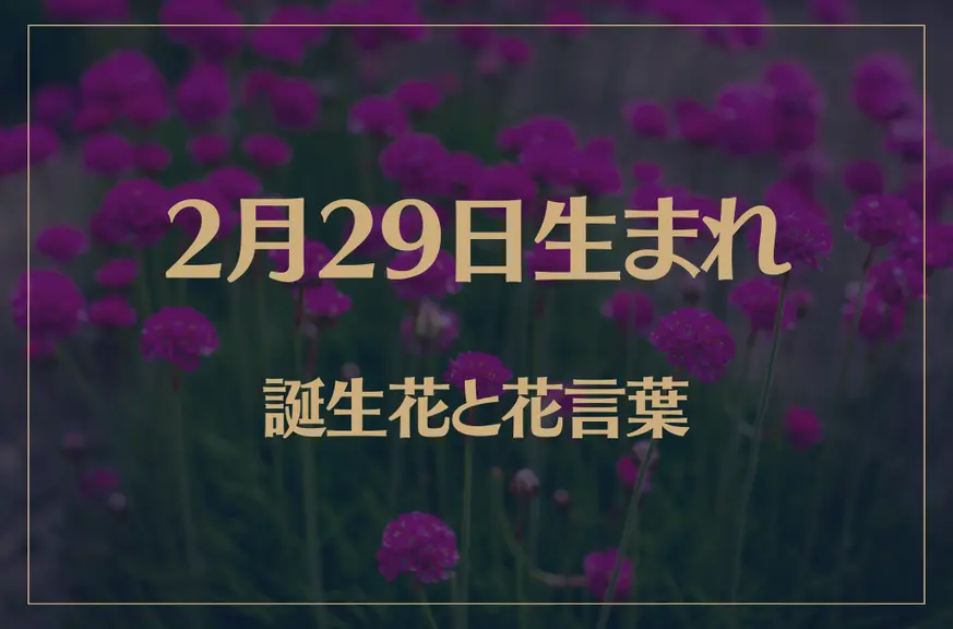 2月29日の誕生花と花言葉がコレ！性格や恋愛・仕事などの誕生日占いもご紹介！