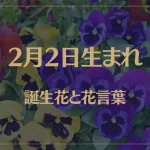 2月2日の誕生花と花言葉がコレ！性格や恋愛・仕事などの誕生日占いもご紹介！