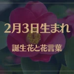 2月3日の誕生花と花言葉がコレ！性格や恋愛・仕事などの誕生日占いもご紹介！