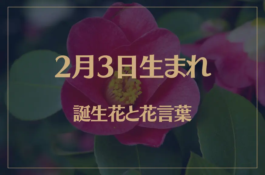 2月3日の誕生花と花言葉がコレ！性格や恋愛・仕事などの誕生日占いもご紹介！