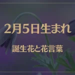 2月5日の誕生花と花言葉がコレ！性格や恋愛・仕事などの誕生日占いもご紹介！