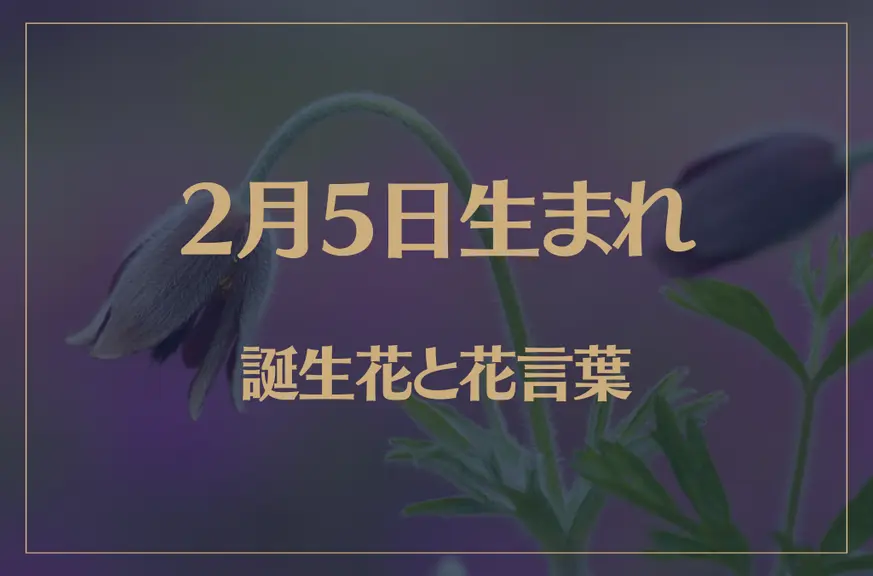 2月5日の誕生花と花言葉がコレ！性格や恋愛・仕事などの誕生日占いもご紹介！