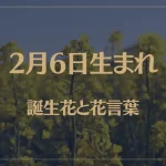 2月6日の誕生花と花言葉がコレ！性格や恋愛・仕事などの誕生日占いもご紹介！