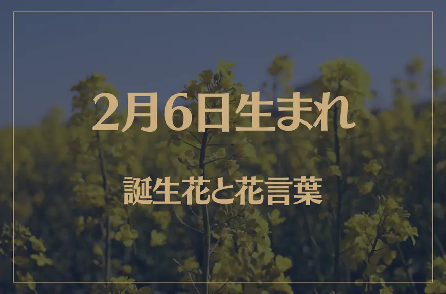 2月6日の誕生花と花言葉がコレ！性格や恋愛・仕事などの誕生日占いもご紹介！
