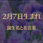 2月7日の誕生花と花言葉がコレ！性格や恋愛・仕事などの誕生日占いもご紹介！