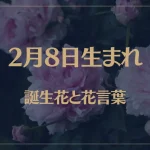 2月8日の誕生花と花言葉がコレ！性格や恋愛・仕事などの誕生日占いもご紹介！