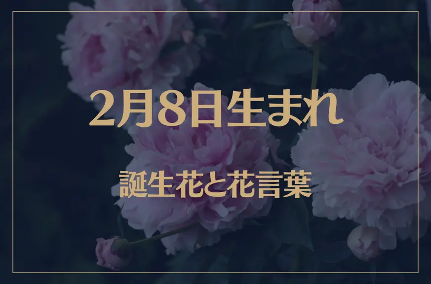 2月8日の誕生花と花言葉がコレ！性格や恋愛・仕事などの誕生日占いもご紹介！