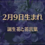 2月9日の誕生花と花言葉がコレ！性格や恋愛・仕事などの誕生日占いもご紹介！