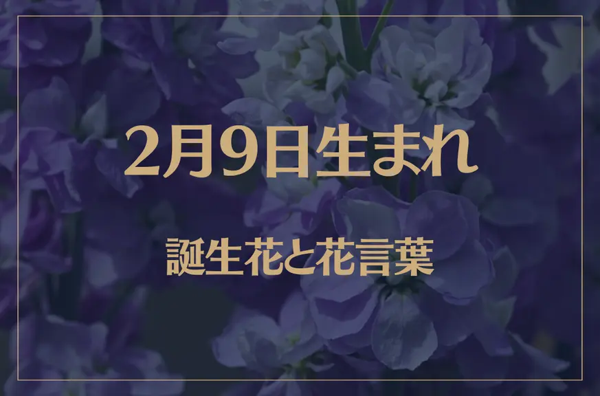 2月9日の誕生花と花言葉がコレ！性格や恋愛・仕事などの誕生日占いもご紹介！