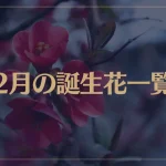 【2月の誕生花一覧】2月の誕生花・花言葉をご紹介！