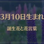 3月10日の誕生花と花言葉がコレ！性格や恋愛・仕事などの誕生日占いもご紹介！
