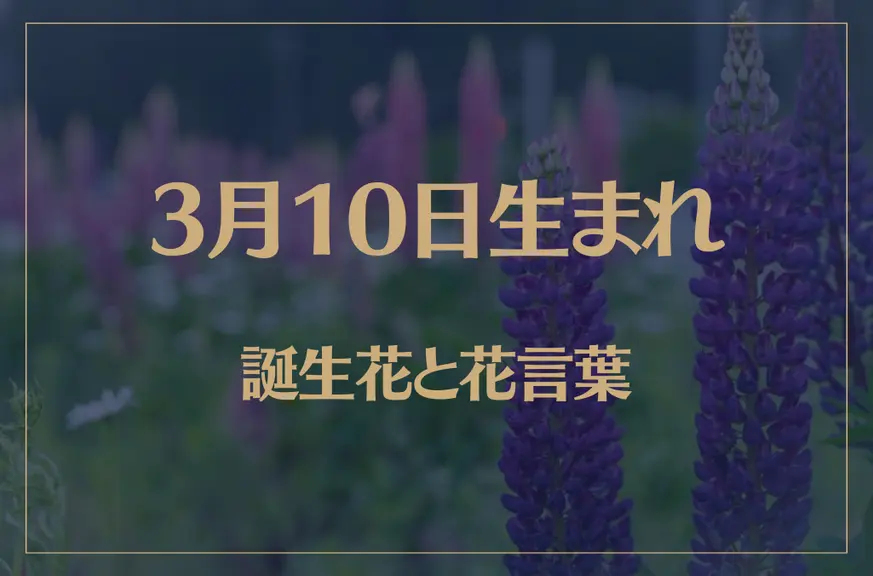 3月10日の誕生花と花言葉がコレ！性格や恋愛・仕事などの誕生日占いもご紹介！