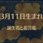 3月11日の誕生花と花言葉がコレ！性格や恋愛・仕事などの誕生日占いもご紹介！