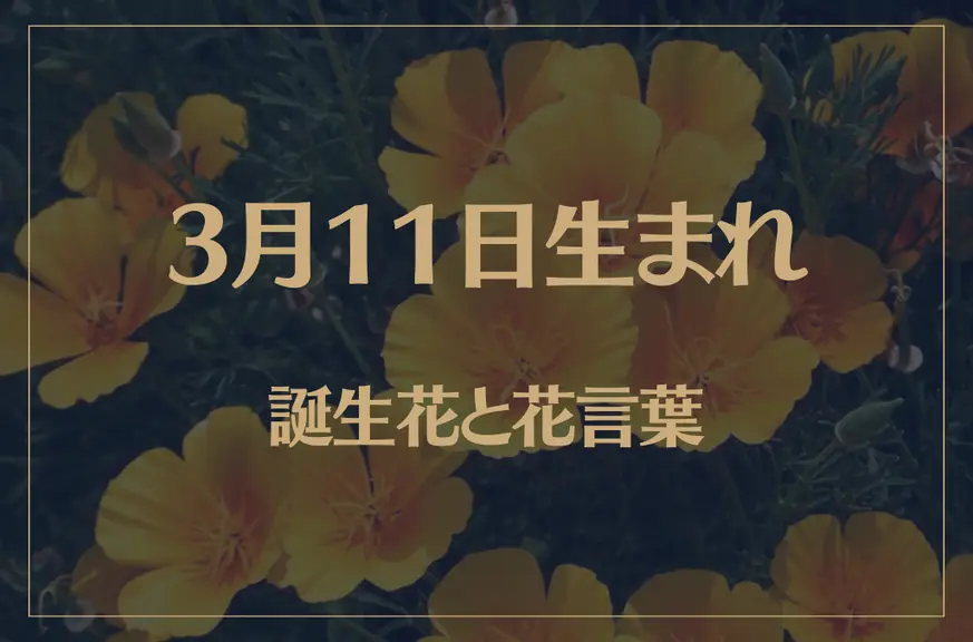 3月11日の誕生花と花言葉がコレ！性格や恋愛・仕事などの誕生日占いもご紹介！