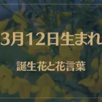 3月12日の誕生花と花言葉がコレ！性格や恋愛・仕事などの誕生日占いもご紹介！