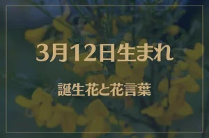 3月12日の誕生花と花言葉がコレ!性格や恋愛・仕事などの誕生日占いもご紹介!
