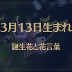 3月13日の誕生花と花言葉がコレ！性格や恋愛・仕事などの誕生日占いもご紹介！