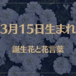 3月15日の誕生花と花言葉がコレ！性格や恋愛・仕事などの誕生日占いもご紹介！