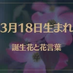 3月18日の誕生花と花言葉がコレ！性格や恋愛・仕事などの誕生日占いもご紹介！
