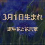 3月1日の誕生花と花言葉がコレ！性格や恋愛・仕事などの誕生日占いもご紹介！