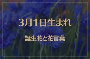 3月1日の誕生花と花言葉がコレ!性格や恋愛・仕事などの誕生日占いもご紹介!