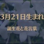 3月21日の誕生花と花言葉がコレ！性格や恋愛・仕事などの誕生日占いもご紹介！