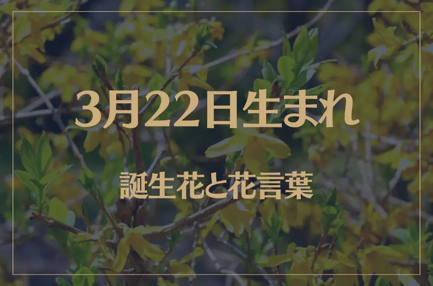 3月22日の誕生花と花言葉がコレ！性格や恋愛・仕事などの誕生日占いもご紹介！