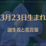 3月23日の誕生花と花言葉がコレ！性格や恋愛・仕事などの誕生日占いもご紹介！