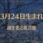 3月24日の誕生花と花言葉がコレ！性格や恋愛・仕事などの誕生日占いもご紹介！