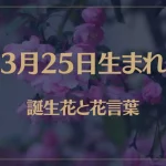 3月25日の誕生花と花言葉がコレ！性格や恋愛・仕事などの誕生日占いもご紹介！
