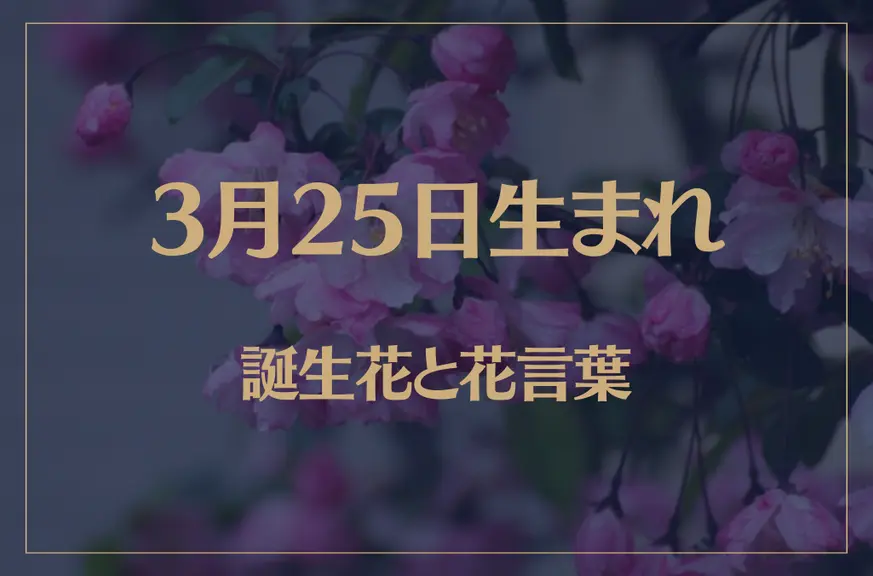 3月25日の誕生花と花言葉がコレ！性格や恋愛・仕事などの誕生日占いもご紹介！