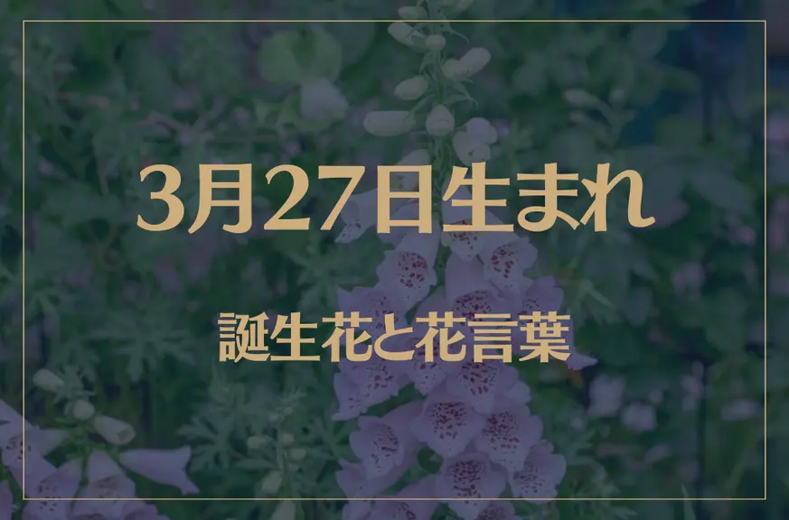 3月27日の誕生花と花言葉がコレ！性格や恋愛・仕事などの誕生日占いもご紹介！