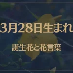3月28日の誕生花と花言葉がコレ！性格や恋愛・仕事などの誕生日占いもご紹介！